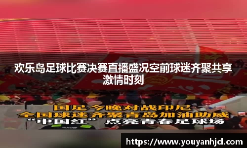 欢乐岛足球比赛决赛直播盛况空前球迷齐聚共享激情时刻